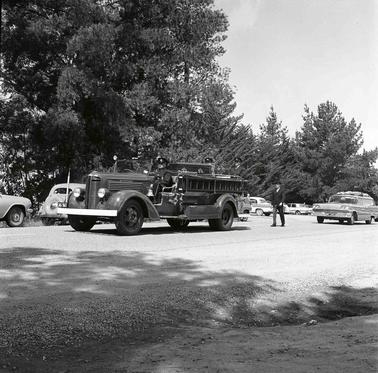 Funeral hearse on a road.  Pine trees in the backgrouno date.