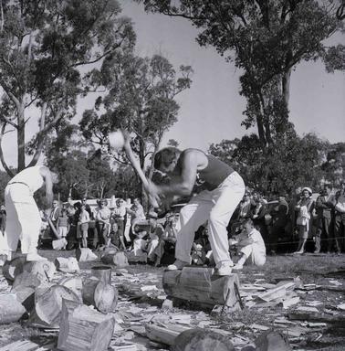 Red Hill Show Woodchop event.