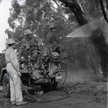 Three men with a fire truck, one is spraying water on a tree.