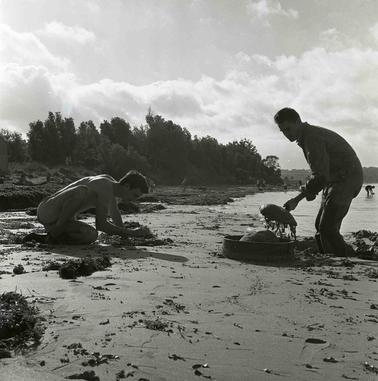 Two men in casual clothing digging into sand at a beach.