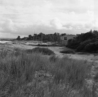 A wide beach and yacht club with coastal plants and beched yachts and boats.