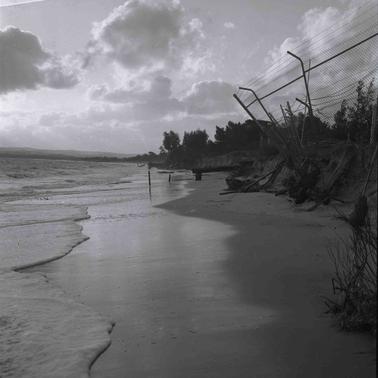 Beach scene with an undermined chain wire mesh fence.