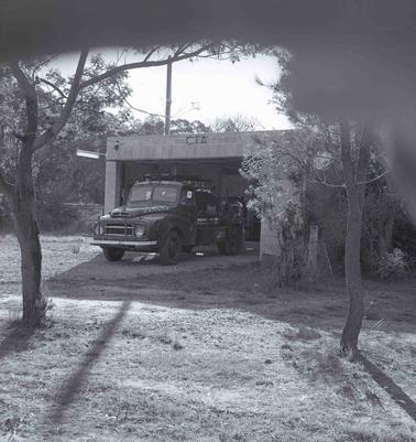 A tree framed view to an open garage door with a truck half out of it.