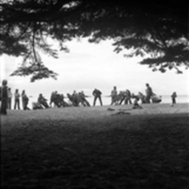A view from under a pine tree to a line of people at a tug-of war.