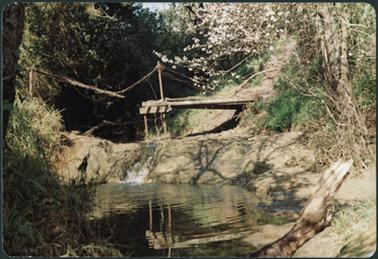 This image is of the derelict wooden bridge over Tanti Creek at Stone's Crossing, before it was replaced with the new bridge