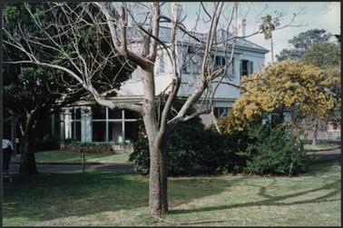 ‘Craigie Lea’ a two storey stucco mansion the image shows the first floor windowed right round mature plantings in the front of the building, people gathered in the foreground waiting for the auction to begin