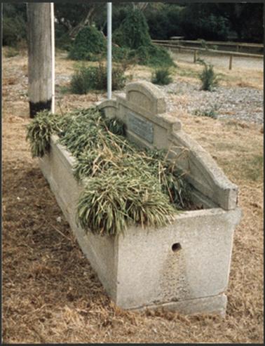 Rectangular shaped horse trough made from stone and situated on the Esplanade in Mornington, opposite the Court House plants are growing out of the trough this drinking trough was donated by Annis & George Bills