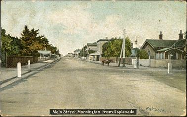 A view looking up the Main Street, Mornington, from the Esplanade the Old Post Office Building is situated on the right a horse is featured standing outside the Post Office on the road