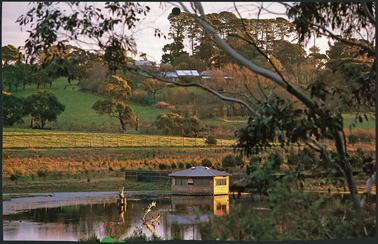 A view of the Wetlands at The Briars