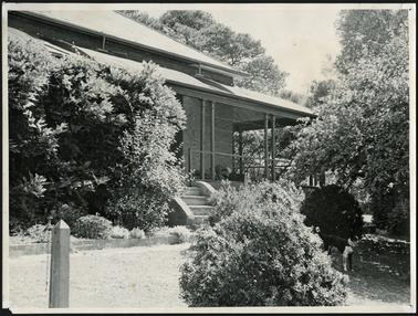 A side view of ‘The Briars’ and the established garden