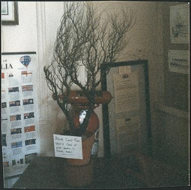 Displays including one of flags and ornamental urn in OPOM Mornington
