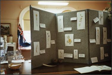 A wildflower display board from prints by D. Townshend, on show at the OPOM Jan 2003