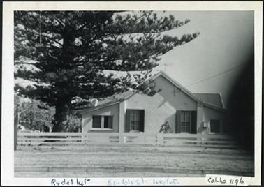 A side view of the house, wooden fence and mature pine tree in garden