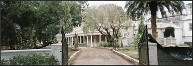 Beleura driveway looking down to the house from the main gates
