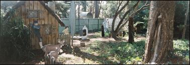 The image shows the Childrens' Garden at Beleura