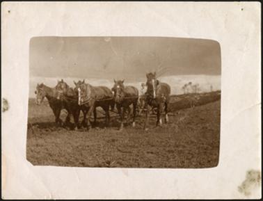 The image is of a ploughman (Parson) with a team of five horses ploughing his land
