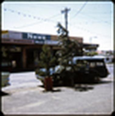This photograph shows two Christmas trees in the foreground, and Christmas lights strung across the street. The newsagency is in the background.