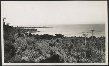 This is a view from the tree tops on the top of Beleura Hill looking out across Port Philip Bay toward the Pier Mornington. There are very few houses visible, and the land is covered in vegetation. There are telegraph poles visible.
