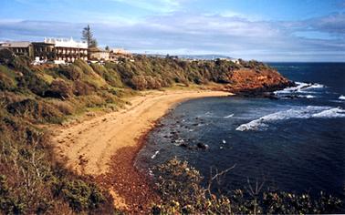 Royal Beach photo taken from cliff near Mornington Park, shows sea, sandy beach and red cliff of opposite point. Vegetation covers cliff at back of beach, with Royal Hotel, Norfolk Island pine, and other buildings in background. 
