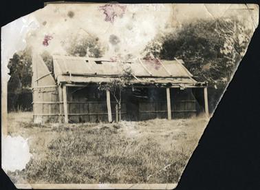 This photo shows a wooden hut built of bark, with a pitched roof. The roof of the hut appears to be made of bark too. There is a central front door, with a window on either side. There is a verandah the whole length of the hut supported by 4 wooden posts. It looks neglected. There is long grass in the foreground, and a small tree to the left of the front door.