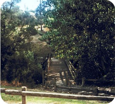 A small wooden walking bridge over a creek with trees and undergrowth on either side of the bridge and a walk way with wooden guard poles on either side of the path leading up the hill in the foreground