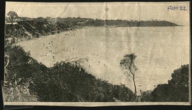 This is a view of Fisherman’s beach from a high point. The beach is on the left, and a row of bathing boxes can be seen. In the foreground is mainly bush, with a single tree standing out on the bottom right of the photo. It appears to be a summer day with lots of bathers, in and out of the sea.