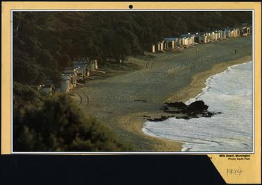 This is a sweeping view of Mills Beach, with many bathing boxes. The beach appears to have been raked, and looks pristine. There is thick bush behind the bathing boxes. On the right the sea can be seen. There is a solitary person walking a dog on the top right corner of the photo.