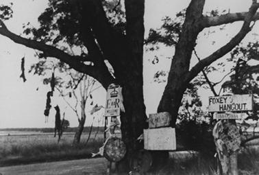 A substantial tree in a flat landscape with several objects attached to the tree. there are 4 dead foxes hanging from a branch on the left. Three signs  are attached to the main trunks One says ”EIIR Welcome”, another “Foxeys Hangout” and underneath it “TubbaRubba Road”. Sundry other unidentifiable objects are also attached.