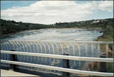 The image taken from a walkway is of the Balcombe Creek Estuary 1992, in the background dense bushland and housing