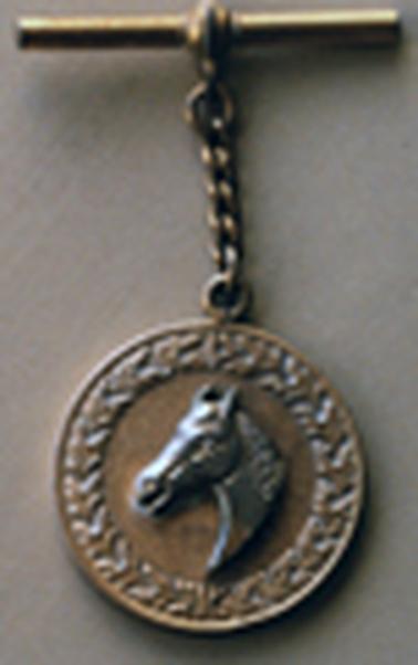 A bronze medallion hanging from a bar by a short chain. The medallion has a carved laurel leaf border around a horse’s head in relief.