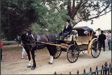 The photo is of a horse drawn mourning carriage landau, lent by Allison Monkhouse Ltd, for the Mornington Cemetery Centenary Celebration