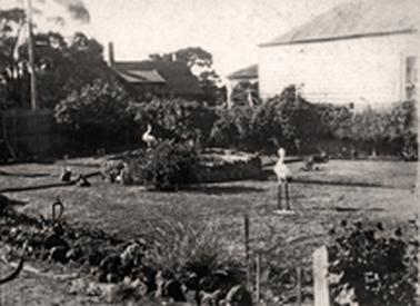 A garden block with a pond surrounded by a stone wall set in a lawn. There are two bird statues beside the pool and the lawn is surrounded by a low hedge. There are two neighbouring  houses in the background