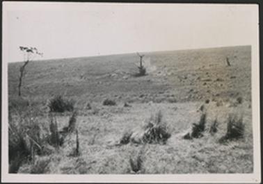This shows a stretch of scrub with a tree stump in the centre being blown up.